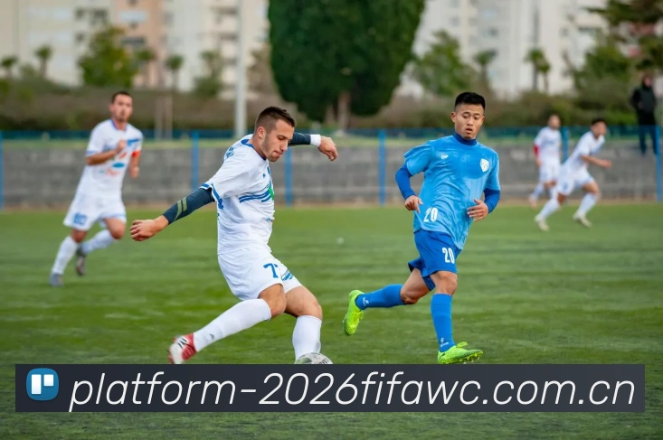 FIFA 官方数据授权认证